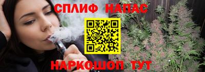 гидропоника Будённовск